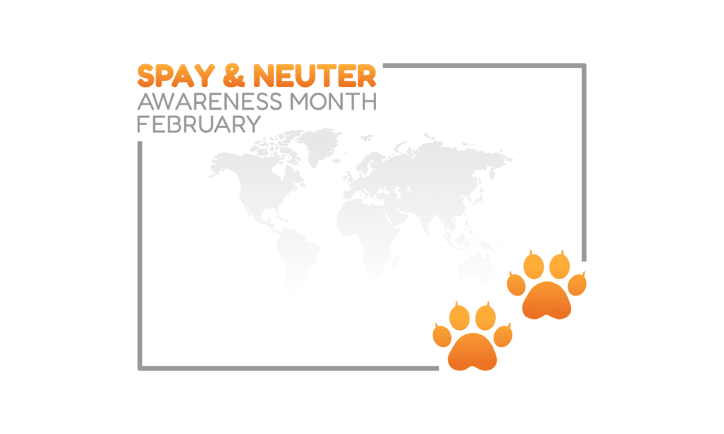 white spay and neuter