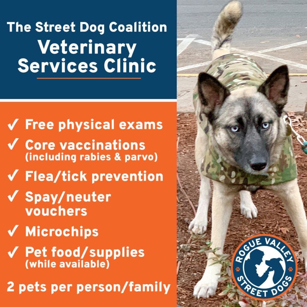 2025-03_Vet_Generic