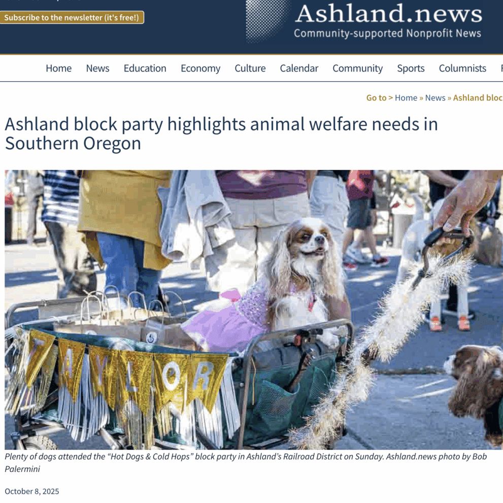 Ashland Block Party Ashland News