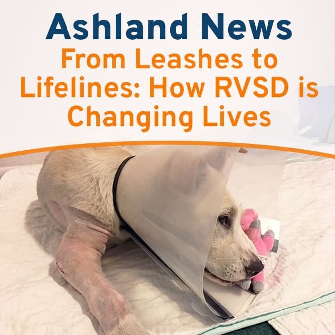 AshlandNews