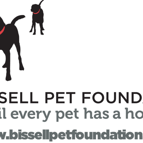 BPF_Primary-Logo_Full-Color_HighRes_Website