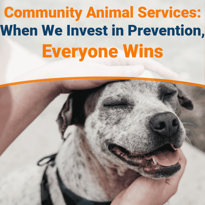 Community Animal Services