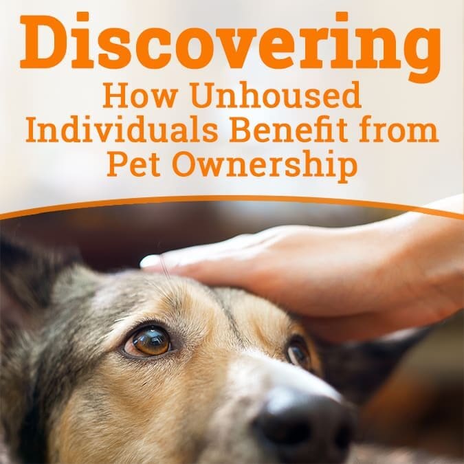 DiscoveringPet