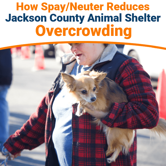 Jackson County Animal Shelter Overcrowding