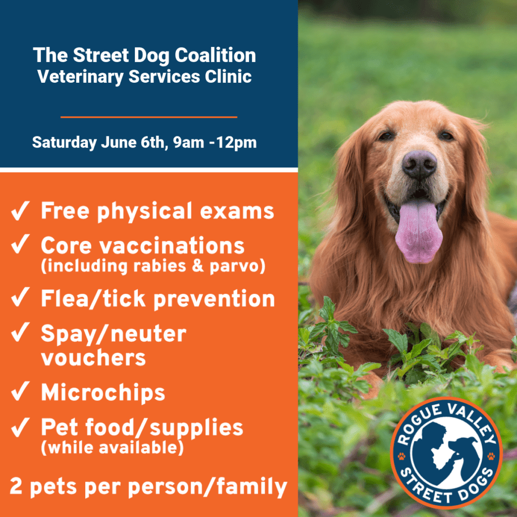 RVSD Outreach Template-5-Veterinary Services Clinic (1)